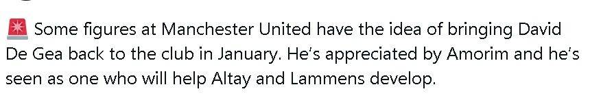 虎扑官网-曝曼联高层考虑明年回签德赫亚，指导拉门斯发展！阿(ā)莫林很欣赏他